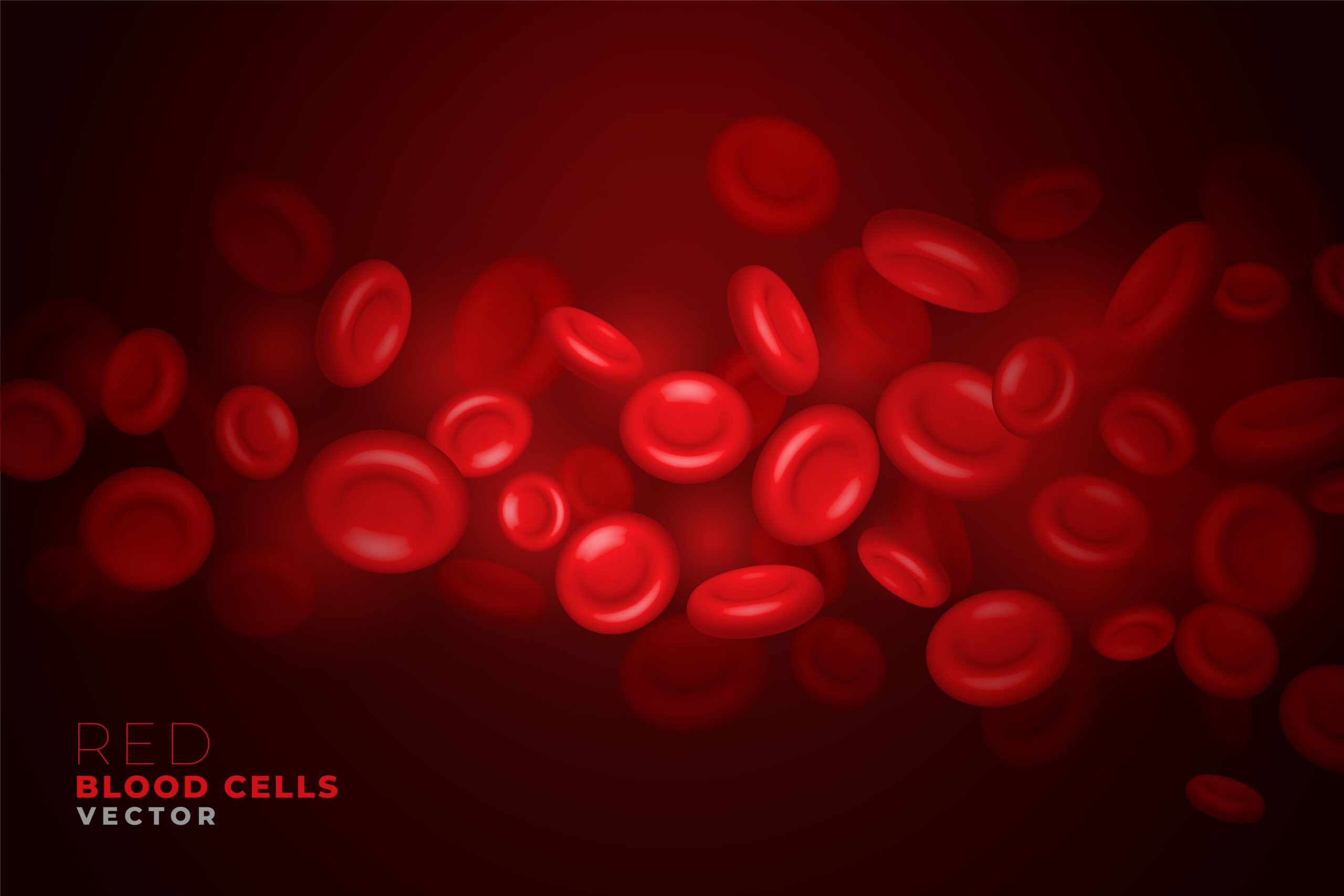 realistic red blood cells flowing through artery background